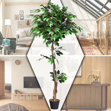 Load image into Gallery viewer, Gymax Artificial Ficus Silk Tree Wood Trunks Green 5.5 Feet Holiday Decor