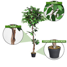Load image into Gallery viewer, Gymax Artificial Ficus Silk Tree Wood Trunks Green 5.5 Feet Holiday Decor