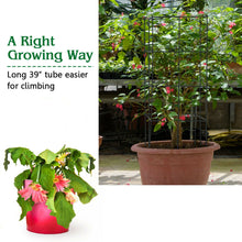 Load image into Gallery viewer, Gymax 4 Pack Tomato Cages Garden Cages Stakes Plant Trellis 16'' x 16'' x 39''