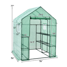 Load image into Gallery viewer, Gymax Walk-in Greenhouse 56''x56''x77'' Gardening w/Observation Windows 2 Tier 8 Shelves