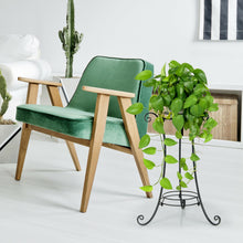 Load image into Gallery viewer, Gymax Metal Plant Stand for Flower Pot Metal Display Shelf Potted Holder Rack