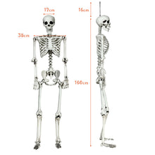 Load image into Gallery viewer, Gymax Full Body Halloween Skeleton 5.4ft Life Size w/ Hanging Rope Movable Joints
