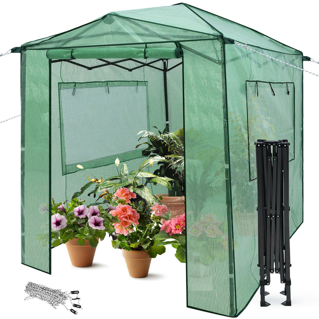 Gymax 6'x 8' Portable Walk-in Greenhouse Pop-up Folding Plant Gardening W/ Window