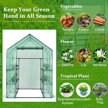 Load image into Gallery viewer, Gymax Walk-in Greenhouse 56''x56''x77'' Gardening w/Observation Windows 2 Tier 8 Shelves
