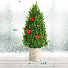 Load image into Gallery viewer, Gymax 18.5&#39;&#39; Artificial Tabletop Christmas Tree Mini Xmas Tree Holiday Decoration

