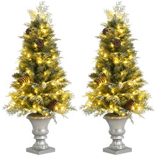 Load image into Gallery viewer, Gymax 2PCS 4FT Artificial Pre-Lit Christmas Tree Snowy Entrance Tree w/ Pine Cones
