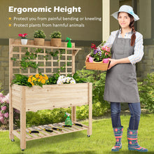 Load image into Gallery viewer, Gymax Raised Garden Bed Mobile Elevated Wooden Planter Box w/ Wheels Trellis Shelf
